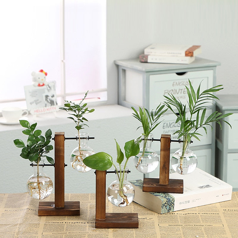 Sovrik Garten - Tre rahmen Terrarium Hydroponikk Plantevaser