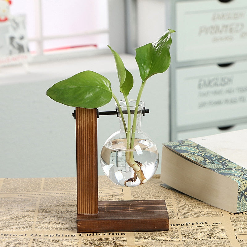Sovrik Garten - Tre rahmen Terrarium Hydroponikk Plantevaser