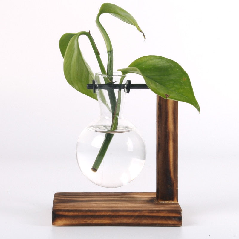 Sovrik Garten - Tre rahmen Terrarium Hydroponikk Plantevaser