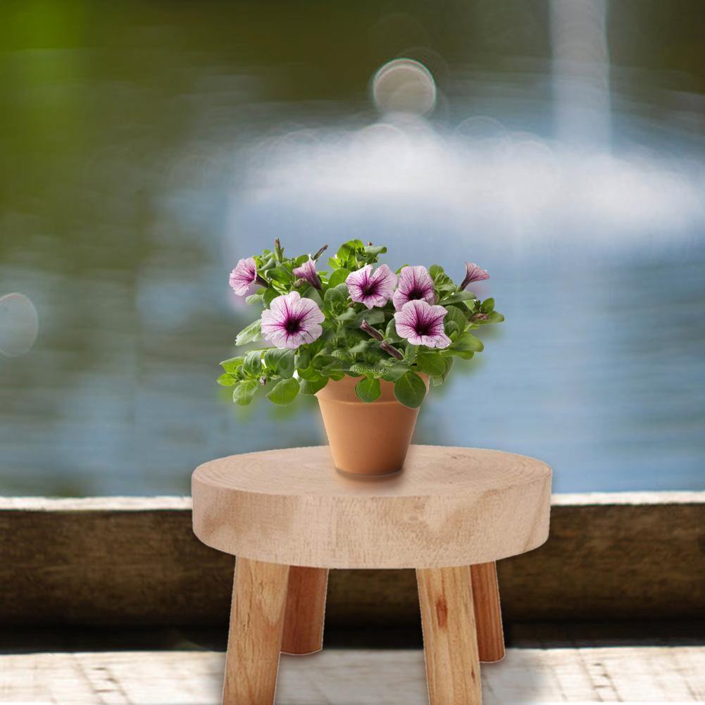 Sovrik Treplanteholder | Hevet blomsterkrukkeholder | Minimalistisk design | Perfekt for stuen