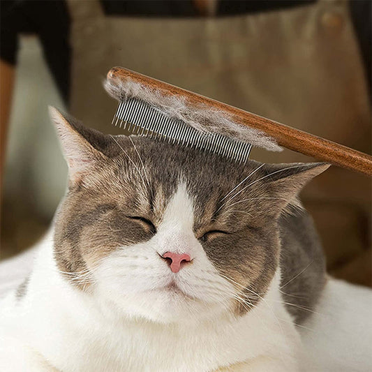 Sovrik Knot Kam med Træhåndtag